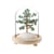Arbre du Bonheur sous cloche Aventurine Verte - Omsaé