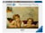 Puzzle 1000p - Madone Sixtine de Raphael