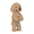 Chien Caniche Nain debout beige Taille standard | JEKCA | 14 ans et +