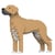 Chien Dogue Allemand beige Taille standard | JEKCA | 14 ans et +