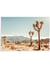 Poster Nature Desert 5 | A3 : 29,7x42cm