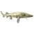 Peluche poisson esturgeon 38 cm - wild planet - k8428