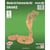 Quay - Maquette en bois Serpent