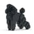 Chien Grand Caniche noir Taille standard | JEKCA | 14 ans et +