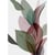 Tableau sur toile tropical 45x65 cm