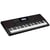 Clavier arrangeur Casio CT-X3000 - 61 touches dynamiques - Noir et Rouge - 6,9 kg