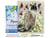 Peinture par Numéro Figured'Art avec Cadre - Découverte des papillons - Kit de Loisir Créatif DIY Numéro d'Art - 40x50cm toile tendue sur châssis