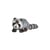 Raton laveur 25 cm - Anima
