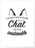 Affiche 'Chat inestimable...' | A3 : 29,7x42cm