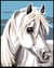 Kit Canevas Margot Cheval 20x25 cm