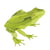 Maquette 3D en papier Grenouille