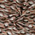 Tissu Viscose extensible Maillons stylisés sur fond Camel