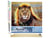 Peinture par Numéro Figured'Art - Lion dans la savane - Kit de Loisir Créatif DIY Numéro d'Art Complet - 40x50cm toile roulée + châssis en bois à monter