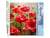 Peinture par Numéro Figured'Art - Champ de Coquelicots - Kit de Loisir Créatif DIY Numéro d'Art Complet - 40x50cm sans châssis en bois