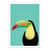 Affiche 30x40 cm - Toucan bird in blue - Gal Design