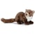 Peluche martre des pins 25 cm