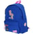 Sac à dos Camps United Training 42 CM - Borne