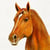 Lot de 4 serviettes en papier découpage collage 33 cm CHEVAL A 502