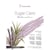 Bloc aquarelle sugar cane - Grain fin - 24x32 - 290g/m2 - 12 feuilles - Hahnemühle