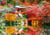 Puzzle 500 pièces - Temple Daigo-ji en Automne, Kyoto - Bluebird Puzzle