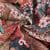 Tissu Jacquard  Hanami femmes en Kimono sur fond Beige