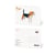 CARTE POSTALE BEAGLE