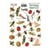 Planche de stickers couleur embelissement Fabrika Decoru BOTANY EXOTIC 211