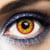 Lentilles fantaisie annuelles - loup garou
