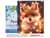 Peinture par Numéro Figured'Art avec Cadre - Petit renard et guirlande éclairée - Kit de Loisir Créatif DIY Numéro d'Art Complet - 40x50cm toile tendue sur châssis