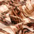 Tissu Coton Satiné extensible Sihem Marron sur fond Beige - Au mètre