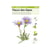 Miniguide 84 - Fleurs des Alpes