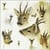 Lot de 4 serviettes en papier découpage collage 33 cm PORTRATI DE CERF A 1000