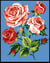 Kit Canevas Margot Rose 20x25 cm