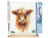 Peinture par Numéro Figured'Art - Vache marron aux poils longs - Kit de Loisir Créatif DIY Numéro d'Art Complet - 40x50cm toile roulée + châssis en bois à monter