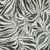 Tissu Toile Canvas Zebrana gris sur fond Blanc cassé - Au mètre