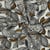 Tissu Coton enduit Poppy Feuilles sur fond Ecru