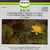 Bach: Violin Concertos, Concertos