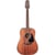 CC HS - GUITARE ACOUSTIQUE DREADNOUGHT ELECTRO ACAJOU
