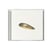IMPOSTEUR (CD cristal)