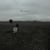 The search