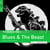 Rough Guide To Blues & The Beast LP