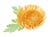 DIE Guirlande "chrysanthème"