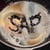 Sap
