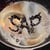 Sap