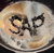 Sap