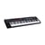 M-Audio Oxygen Pro - Clavier maître - 61 touches - Noir