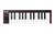 Akai Professional LPK25 MK2 - Clavier maître - 25 touches - Noir