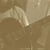 Forfolks - Jeff Parker
