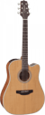 Taka­mine GD20CE - Guitare folk électroacoustique - Dreadnought - Naturel Satin