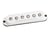 CUSTOM STAG STRAT, BLANC